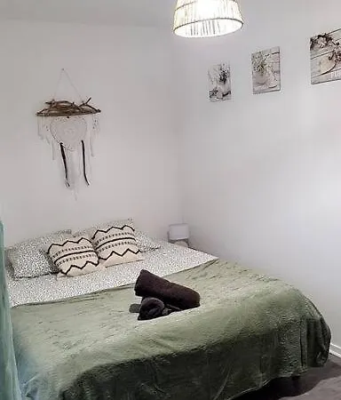 Apartament Le Cocon De 30 Min Lyon Parking Prive
